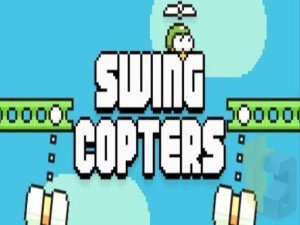 Sky Rider Family Flying Challenge