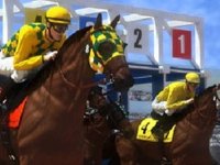Horse 3D Racing Simulation Game