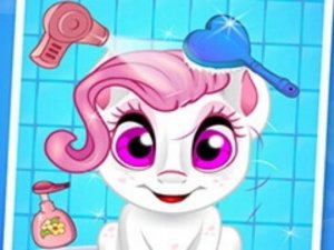 Pet Care Wash Adventure