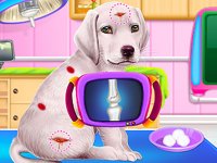 Puppy Care and Dress Up