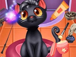 Magic Pet Salon Makeover