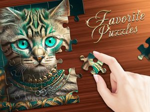 Favorite Jigsaw Puzzle Collection